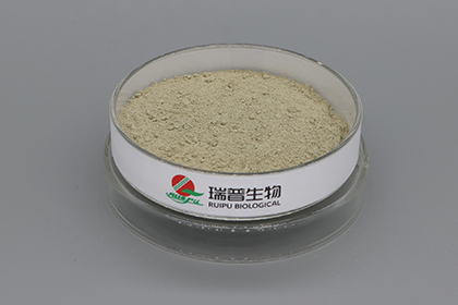 Client asked about iron, Ferrous Lactate's answer shone. 一