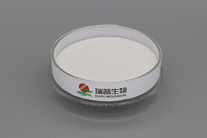 Master 3 Tips to Easily Ace Zinc Lactate Use 一