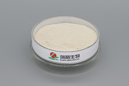 I spent 2 months, ruined 6 Zinc Lactate formulas 一