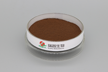 Master 3 Tips to Easily Apply Ferric Pyrophosphate 一